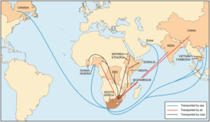 South Africa trade routes are crucial to its economic & trade ties with Asia, Americas, Europe, Africa, and others.